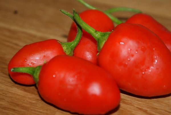 10 x Baumchili Samen – Capsicum pubescens